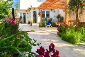 B&B IreneMarchese Gluten Free